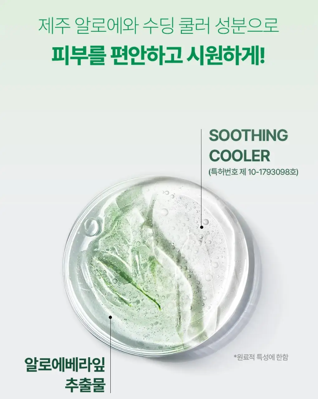 [대용량]식물나라 보송/워터프루프/쿨링 선 스틱 30g (1+1/리필/단품) 상세페이지 31